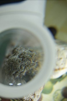 Израсцы и камни - DSC08226.JPG