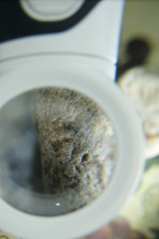 Израсцы и камни - DSC08228.JPG