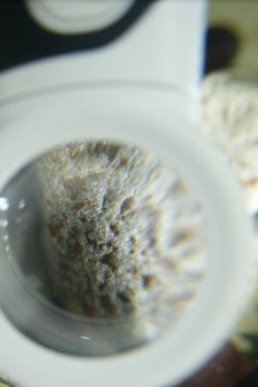 Израсцы и камни - DSC08229.JPG