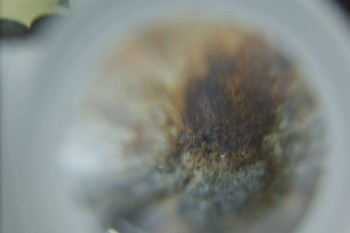 Израсцы и камни - DSC08235.JPG