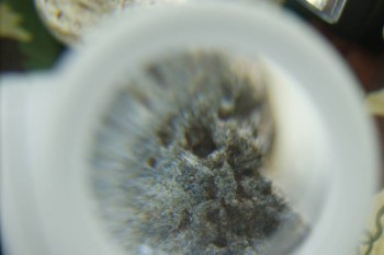 Израсцы и камни - DSC08237.JPG