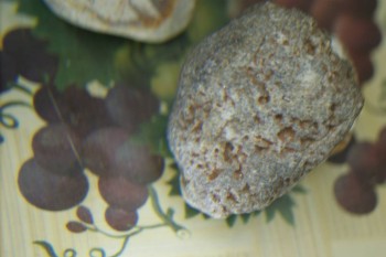 Израсцы и камни - DSC08241.JPG