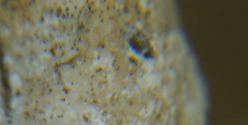 Израсцы и камни - DSC08102.Схема1.jpg