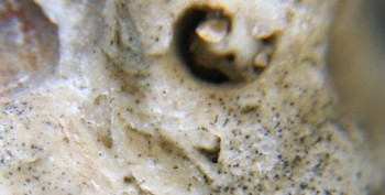 Израсцы и камни - DSC08102.Схема2.jpg