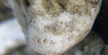 Израсцы и камни - DSC08106.Схема4.jpg