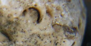 Израсцы и камни - DSC08106.Схема5.jpg